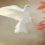 Biały Ptak we śnie znaczenie i symbolika